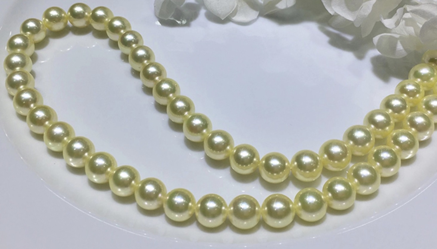 7.5-8 mm Golden Akoya Pearl Necklace