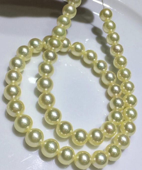 Full Set of 7-7.5 mm Golden Akoya Pearls AA+/AAA