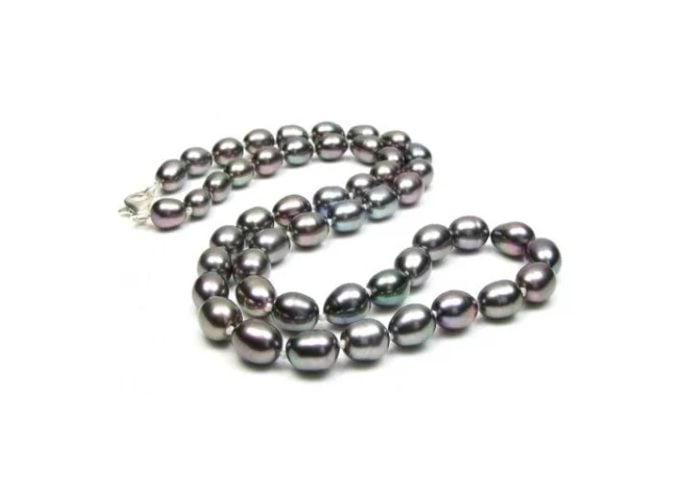 Black Drop Freshwater Pearl Bellamy Necklace